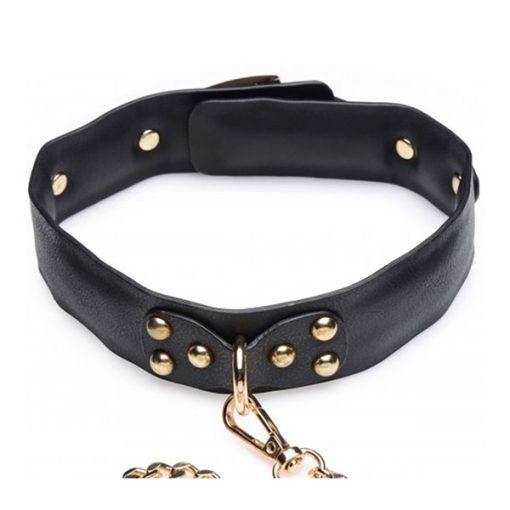 Gold Submission Bondage Set