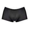 144272BKLG (2) Men's Barely There Briefs