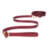 OU588BUR (3) Ogrlica s povodcem Luxurious