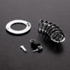 The Spiked Chastity Cage