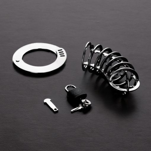 The Spiked Chastity Cage