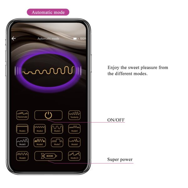 Pretty Love Abner 4 Pretty Love Abner Dark Purple vibrating egg with app and 12 functions