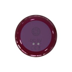 Glam Strong Anal Vibe