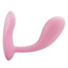 Vibrator Pretty Love Baird