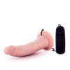 331554-2 Vibrator Dr. Dave
