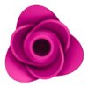 Vibrator Satisfyer Pro 2 Modern Blossom