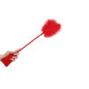Crop Whip with Feather