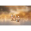 22202-3 Gleamin Love Pearl Butt Plug Set