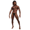 Pisces Arm Restraints