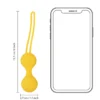 LOVE132YEL-14 Kegel Ball Exercise Set