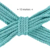 OU1058BLU-5 Ouch 10m Tie-down Strap