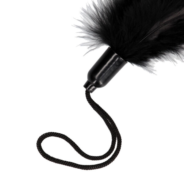 RS124728_OU924BLK_501_scr Small Feather Tickler