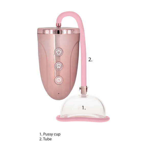 RS128260_PMP040ROS_501_scr Vaginal pump Pumped