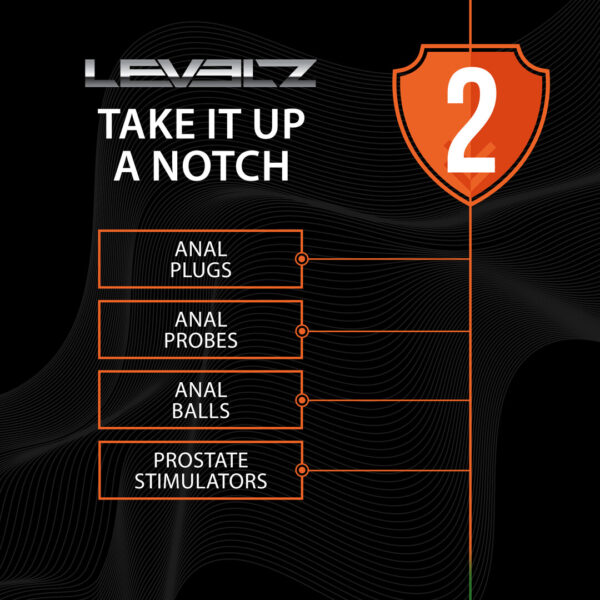 RS142305_Levelz_LVL02-0037BLK_501_scr Analne kuglice Curved