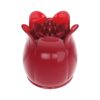 Secret Garden Wand Attachment 11 6959532364439