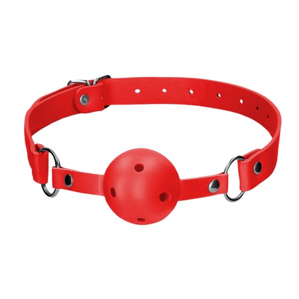 RS118740_OU047RED_100 Ouch! Ball Gag
