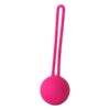 Vaginalna kuglica Flirts Pink