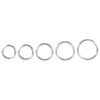 Bad Kitty Professional 5-Piece Metal Penis Ring Set