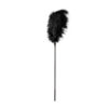 Peruška GP Large Feather Tickler Black