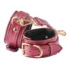 Blaze Elite Red Leg Cuffs