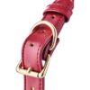 Blaze Elite Ball Gag Red
