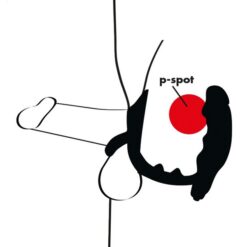 Black Velvets Ring & Vibro Plug