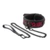 21534-1 Blaze Deluxe Leash and Collar Set