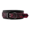 21534-2 Blaze Deluxe Leash and Collar Set