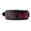 21534-3 Blaze Deluxe Leash and Collar Set