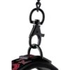 21534-4 Blaze Deluxe Leash and Collar Set