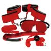BDSM set od maske, ball gaga, biča, lisica, povoca - Bondage Bad Kitty