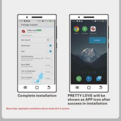 Pretty Love Balls Elvira APP Controlled