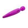 Vibrator i masažer, 25x4,5cm, s baterijama - Pretty Love Power wand