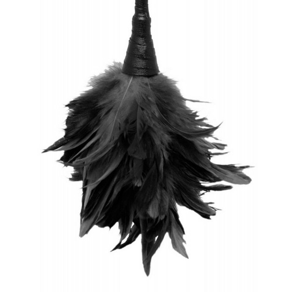 Fetish Fantasy Frisky Feather Dusted 36 cm