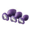 Flirts Anal Training Kit Gem Stone